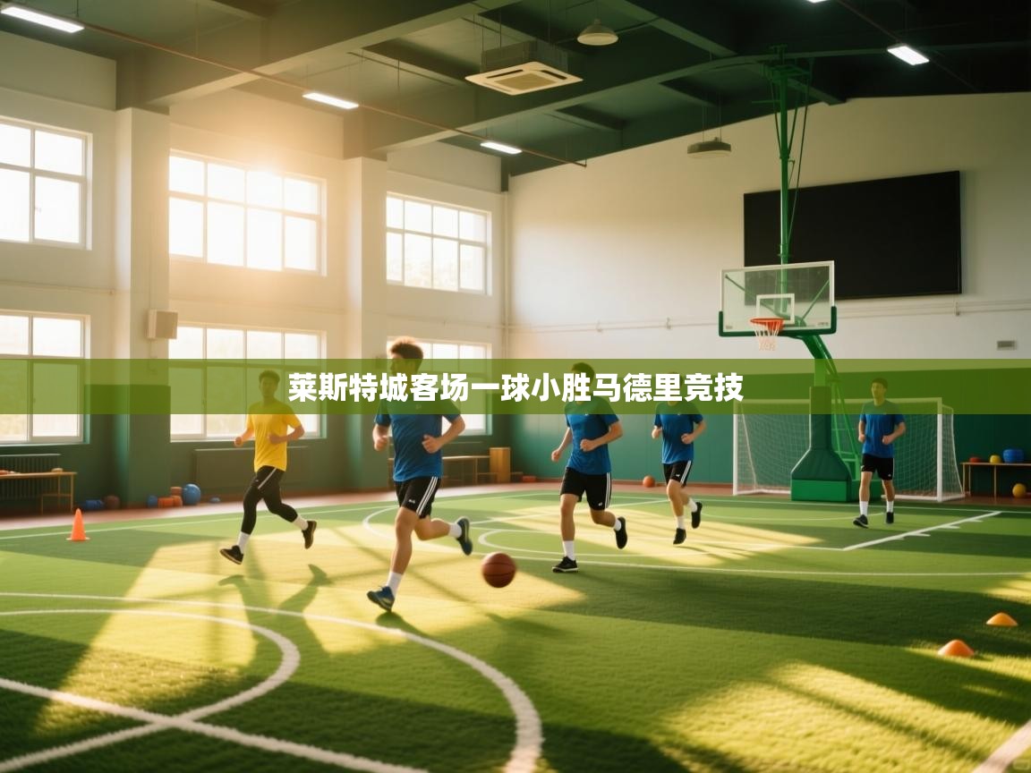 kaiyun-莱斯特城客场一球小胜马德里竞技  第3张
