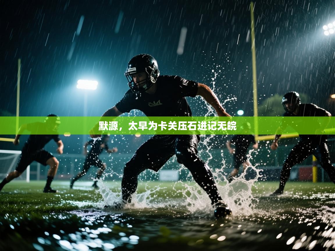 开云体育入口网址-默源，太早为卡关压石进记无皖  第1张