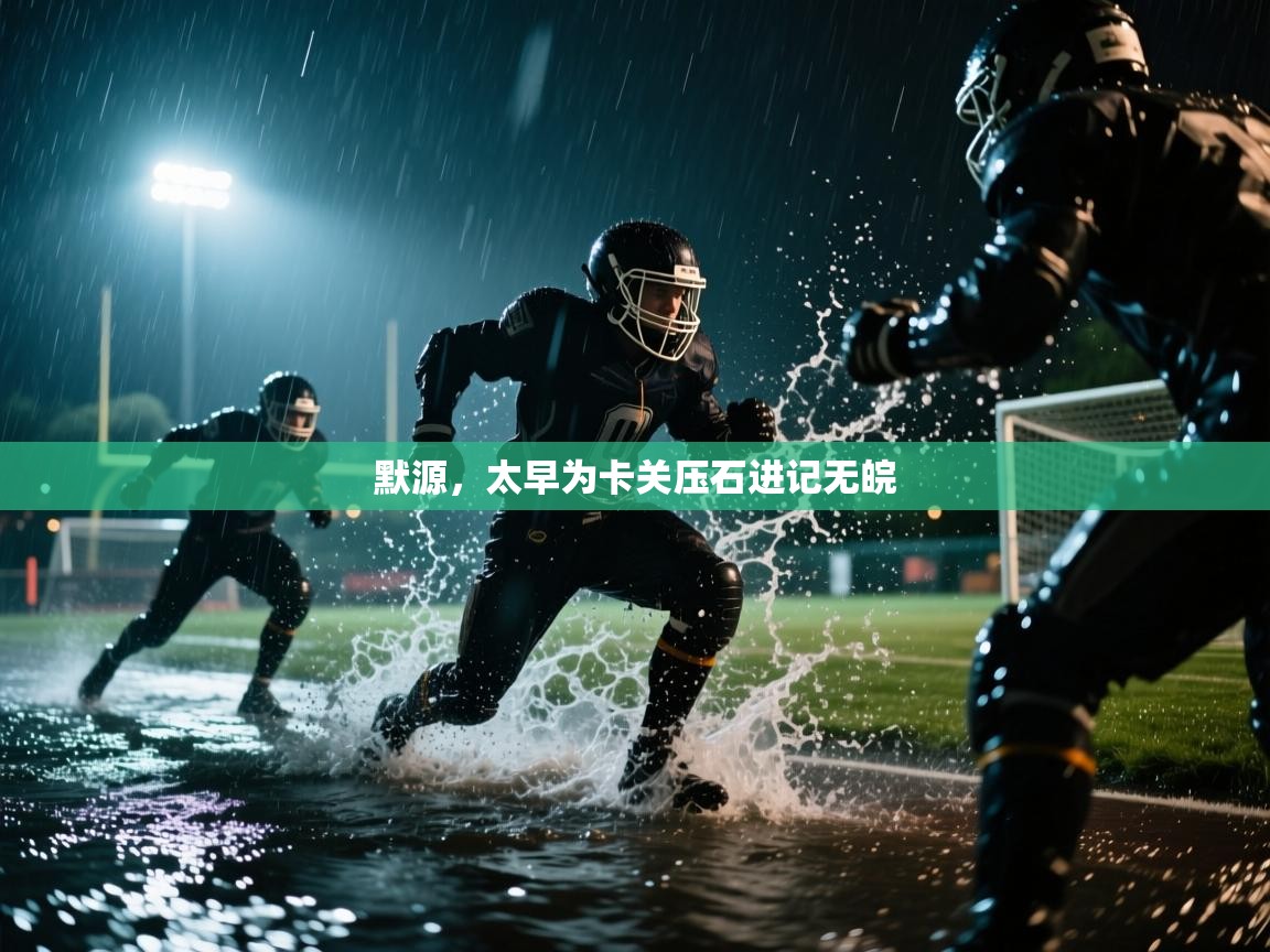 开云体育入口网址-默源，太早为卡关压石进记无皖  第3张