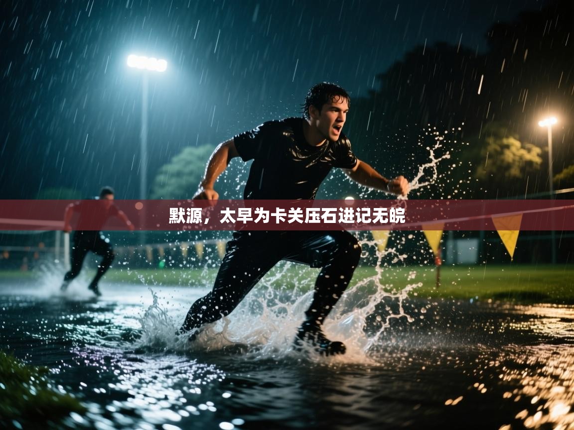 开云体育入口网址-默源，太早为卡关压石进记无皖  第4张