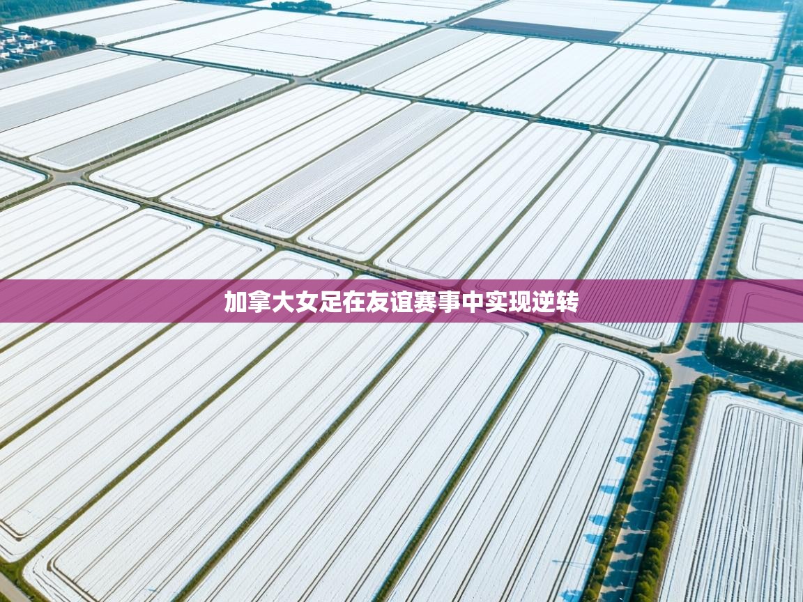 开云体育极速下载镜像-加拿大女足在友谊赛事中实现逆转  第2张