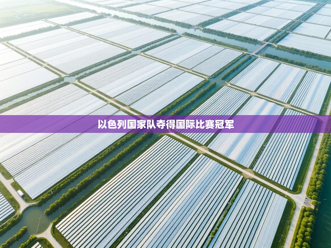 开云赛事-以色列国家队夺得国际比赛冠军  第4张