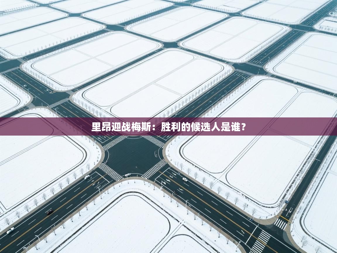 开云体育app官网-里昂迎战梅斯:胜利的候选人是谁? 第3张