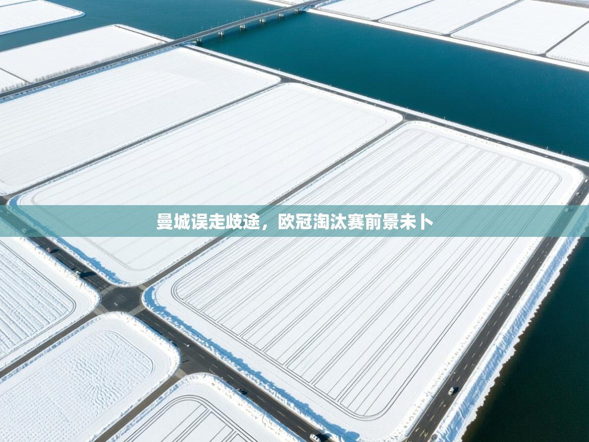 开云体育修改登录密码-曼城误走歧途，欧冠淘汰赛前景未卜  第3张