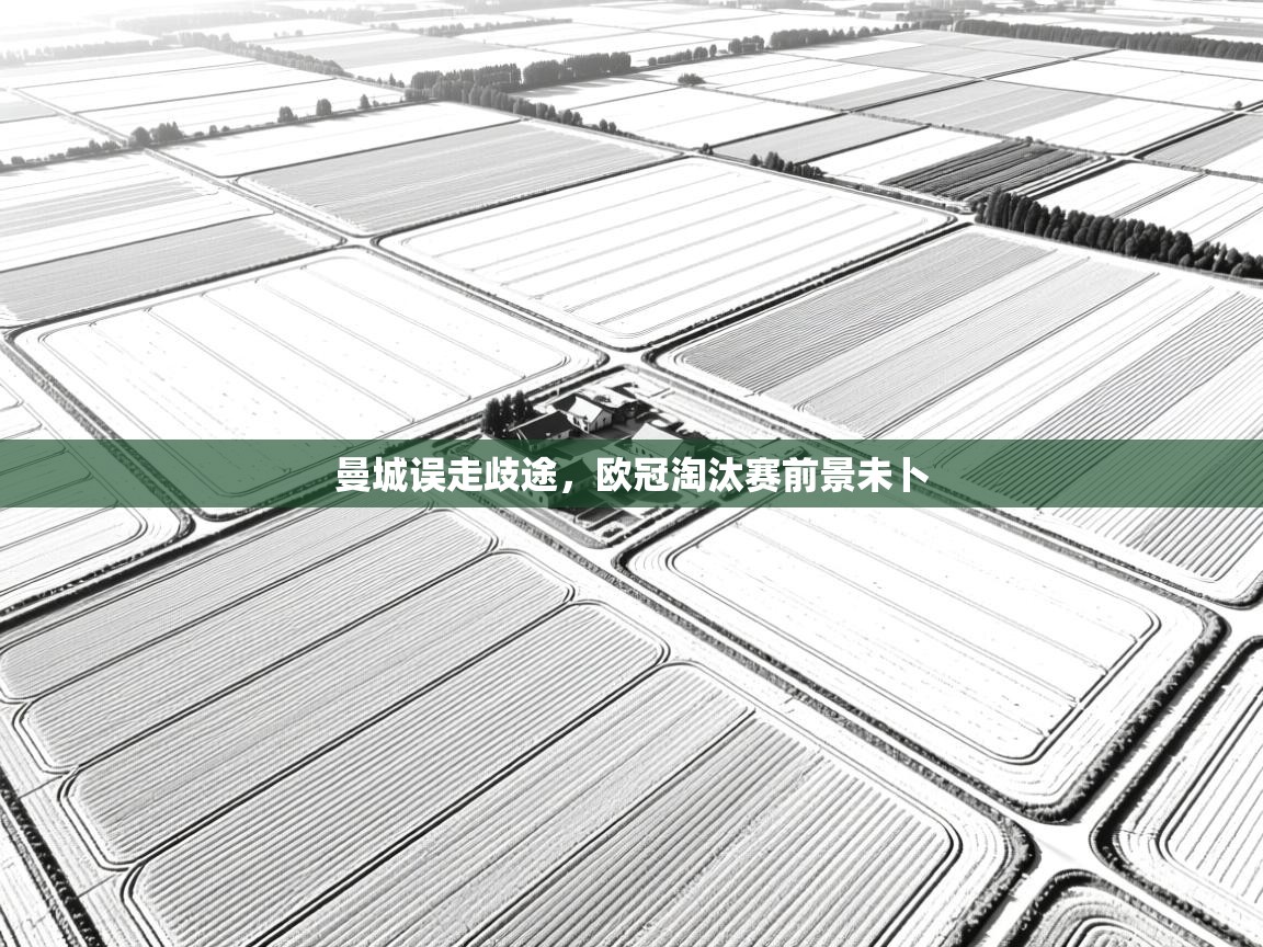 开云体育修改登录密码-曼城误走歧途，欧冠淘汰赛前景未卜  第4张