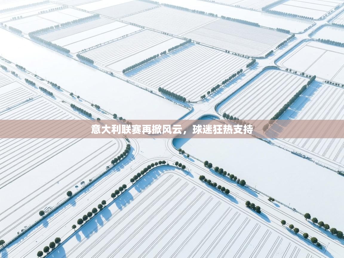 云开体育入口-意大利联赛再掀风云，球迷狂热支持