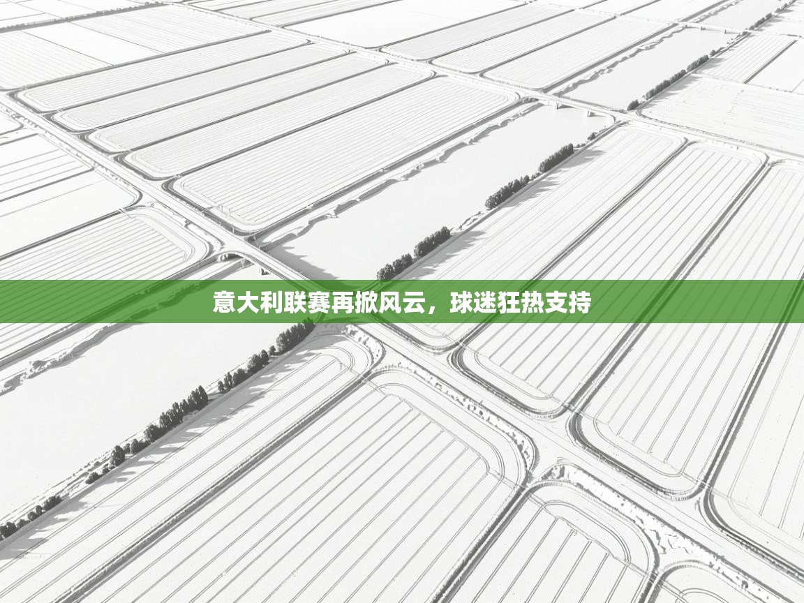 云开体育入口-意大利联赛再掀风云，球迷狂热支持  第3张