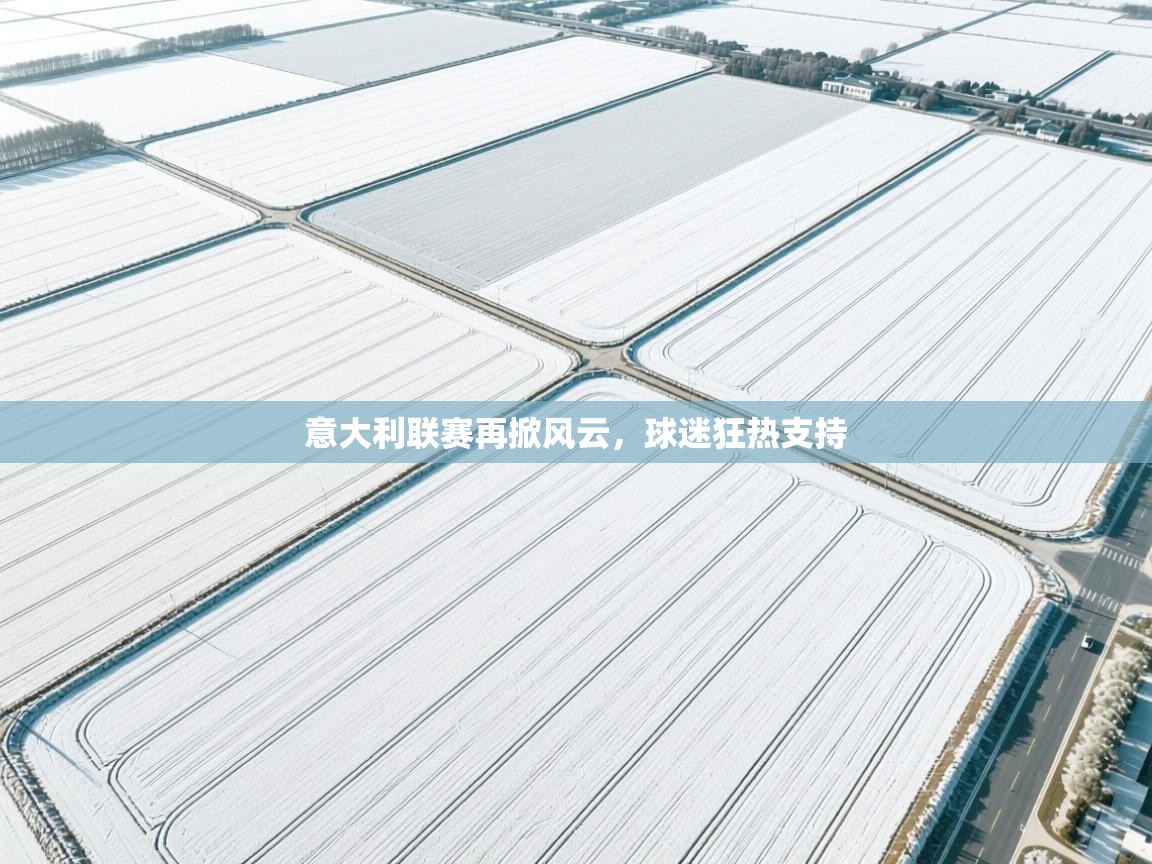 云开体育入口-意大利联赛再掀风云，球迷狂热支持  第4张