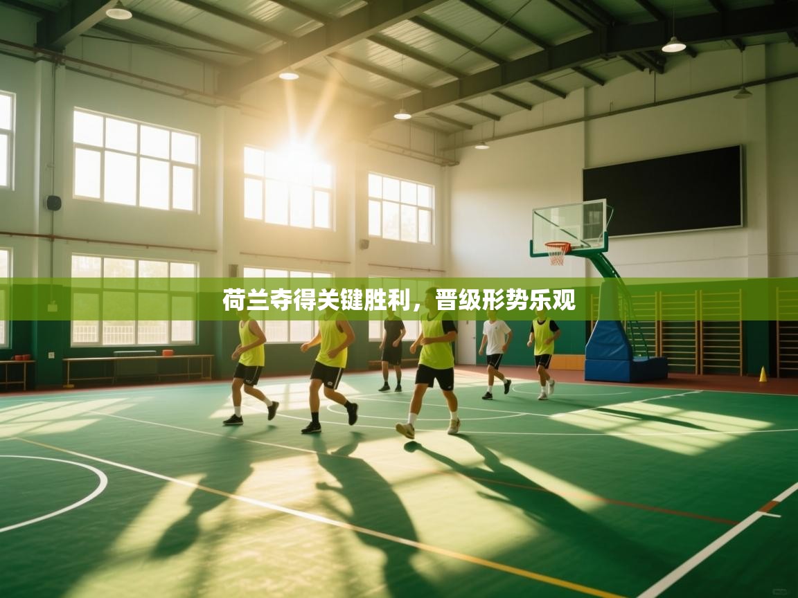 开云体育入口客服-荷兰夺得关键胜利，晋级形势乐观  第1张