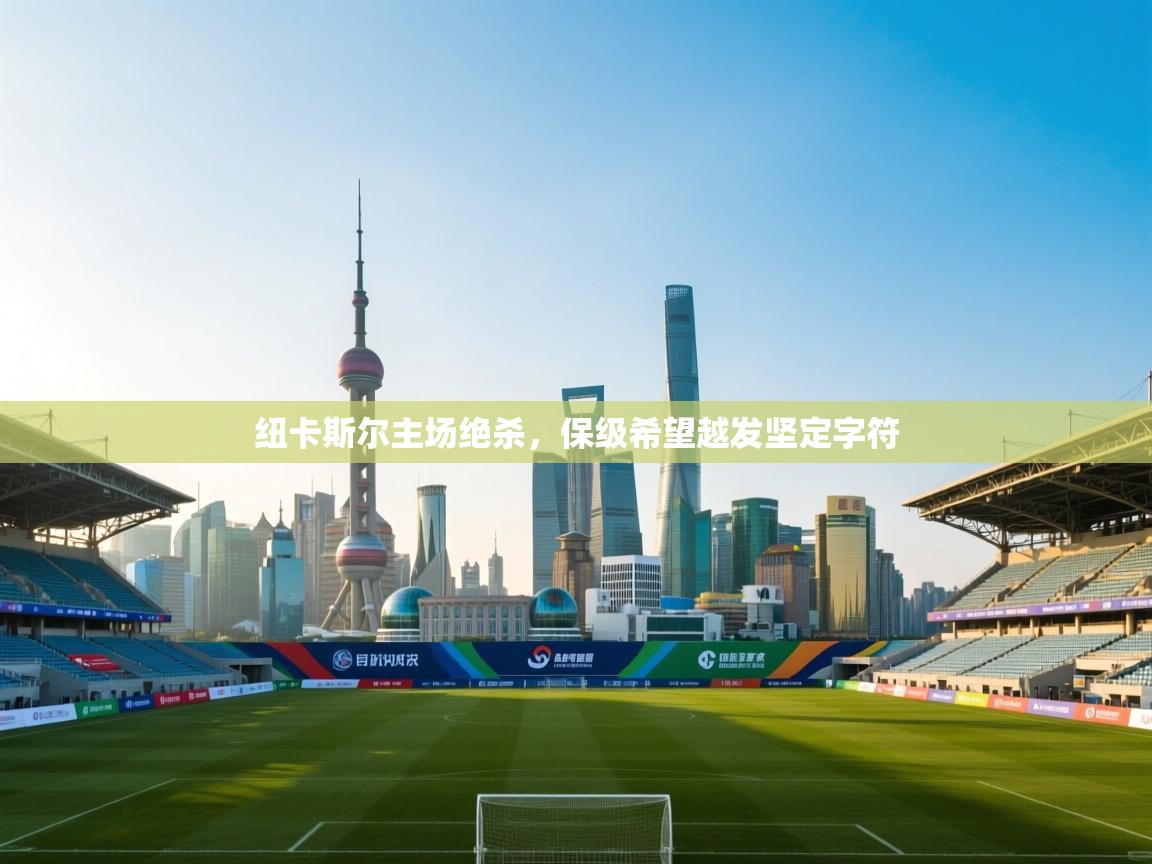 开云体育赛程表查询-纽卡斯尔主场绝杀，保级希望越发坚定字符  第4张