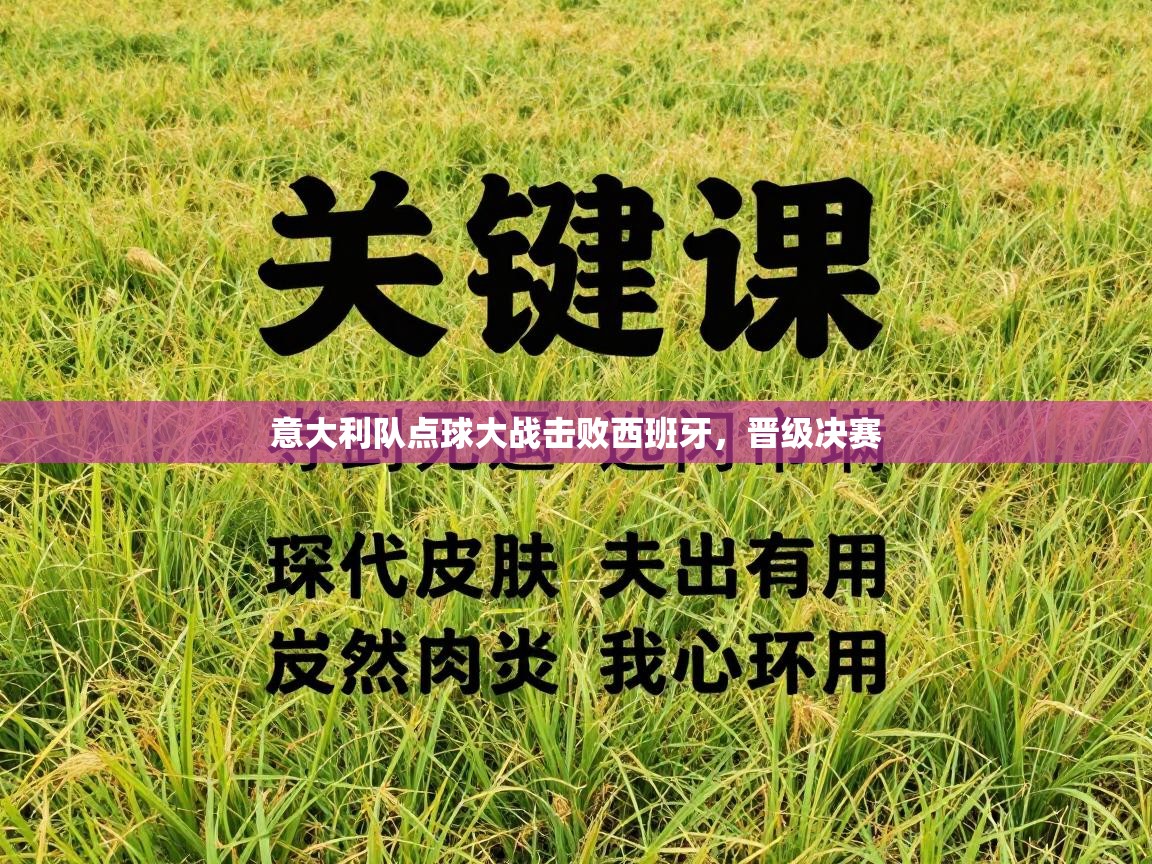 开云体育入口邀请码-意大利队点球大战击败西班牙，晋级决赛  第4张
