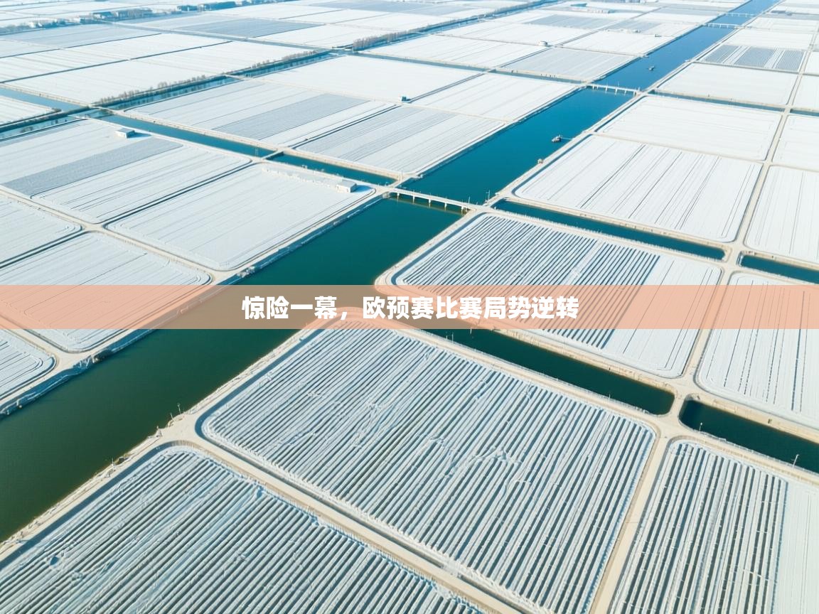 开云体育消息订阅关闭-惊险一幕，欧预赛比赛局势逆转