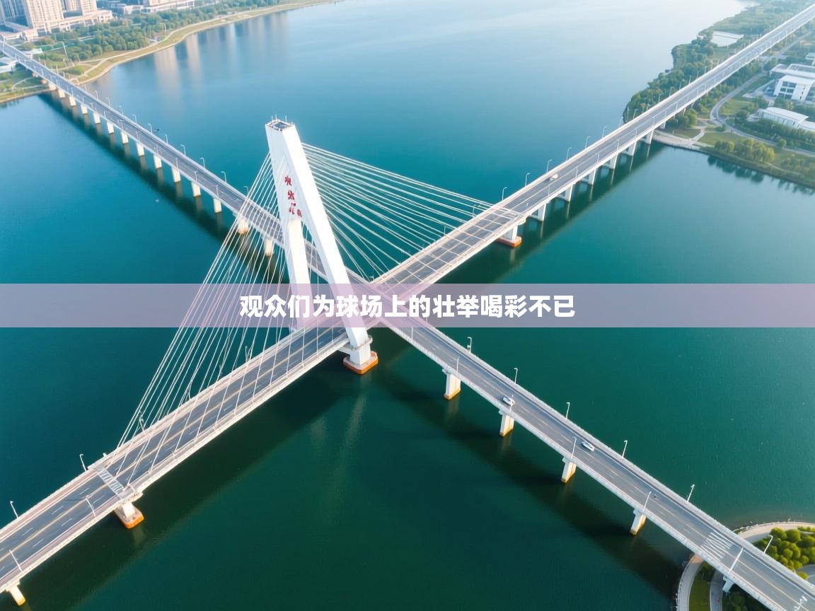 开云网页版-观众们为球场上的壮举喝彩不已