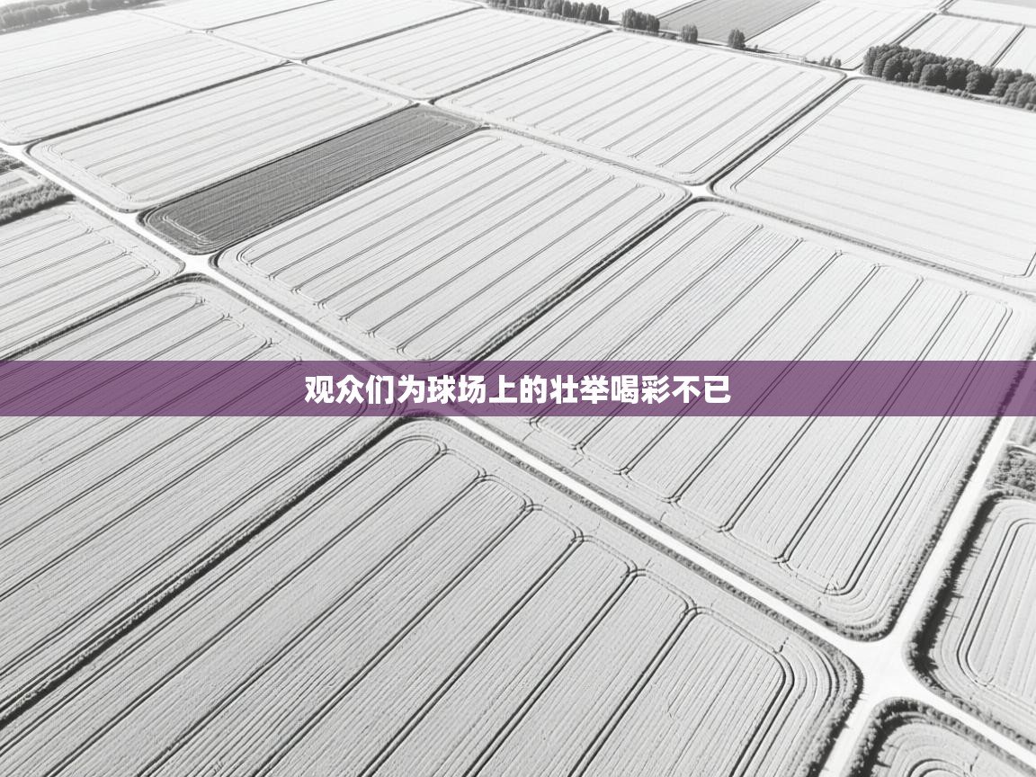 开云网页版-观众们为球场上的壮举喝彩不已  第2张