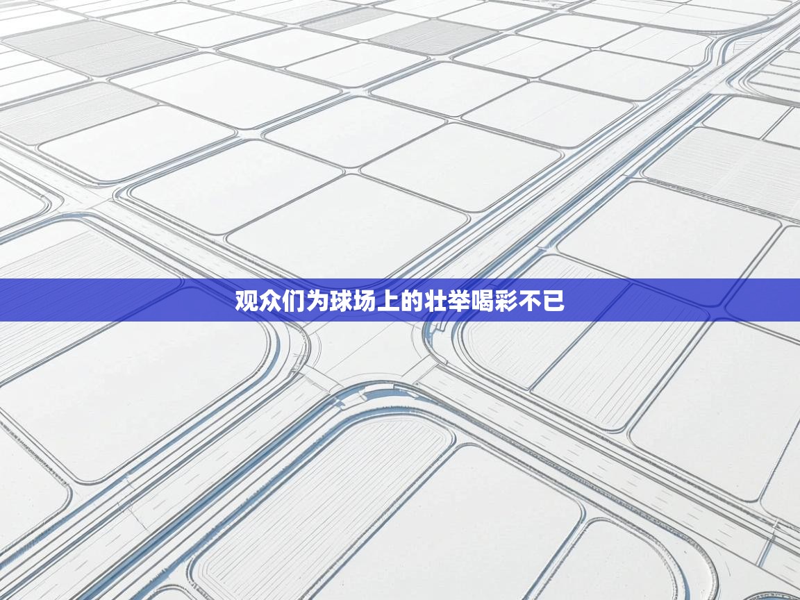 开云网页版-观众们为球场上的壮举喝彩不已  第3张