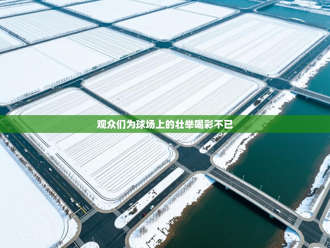 开云网页版-观众们为球场上的壮举喝彩不已  第4张