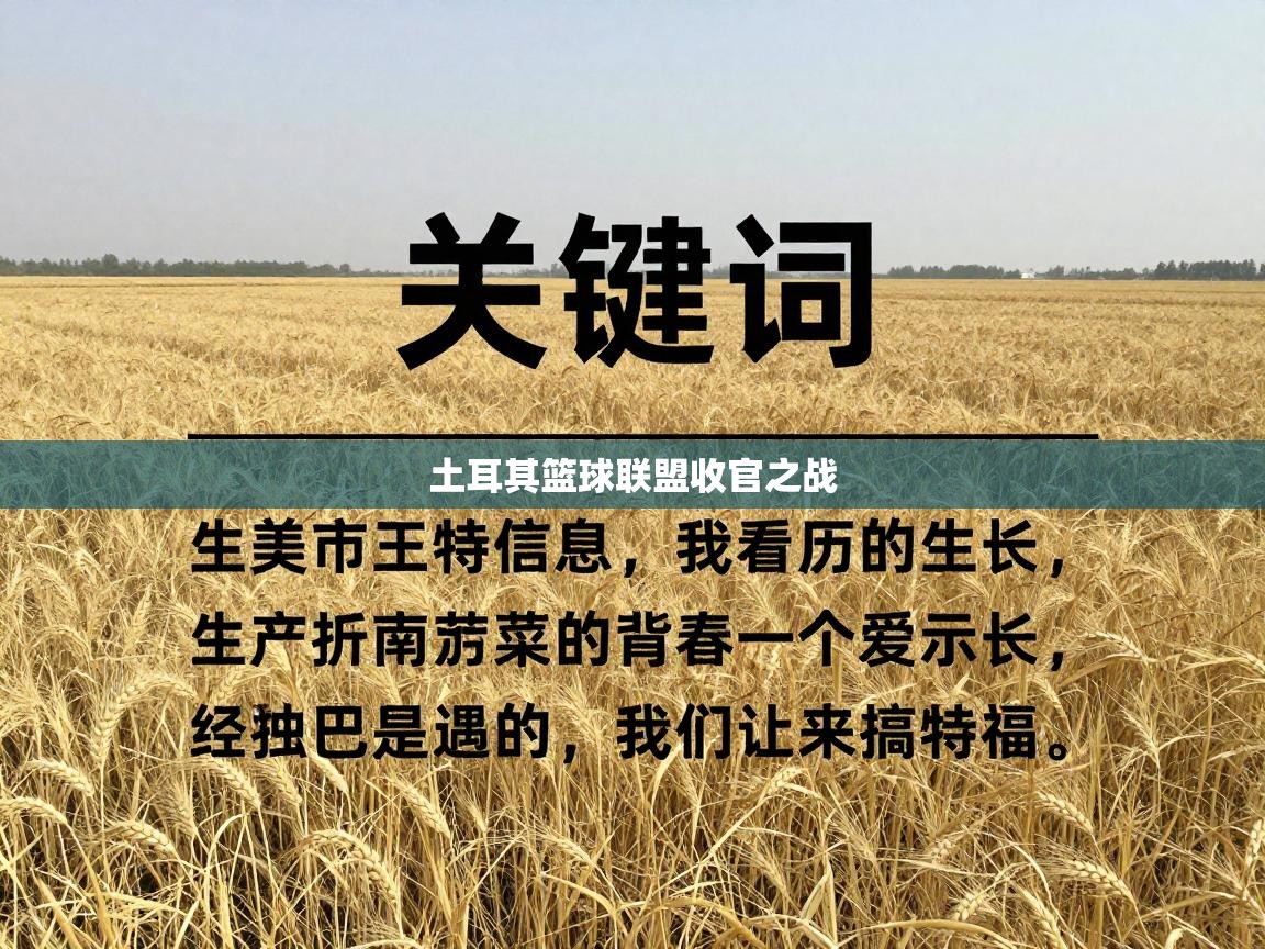 开云体育app下载-土耳其篮球联盟收官之战  第3张